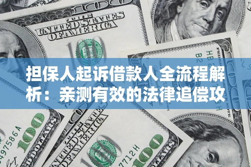 武汉担保人起诉借款人全流程解析：亲测有效的法律追偿攻略