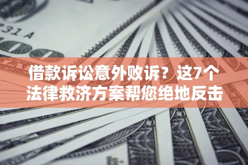 武汉借款诉讼意外败诉？这7个法律救济方案帮您绝地反击！