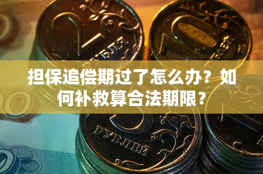 武汉担保追偿期过了怎么办？如何补救算合法期限？