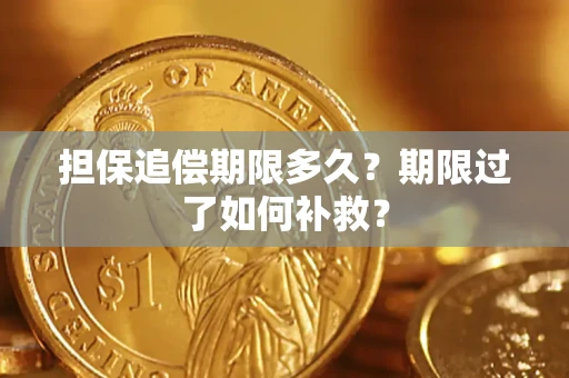 武汉担保追偿期限多久？期限过了如何补救？