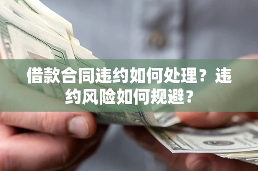 武汉借款合同违约如何处理？违约风险如何规避？