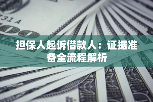 武汉担保人起诉借款人：证据准备全流程解析