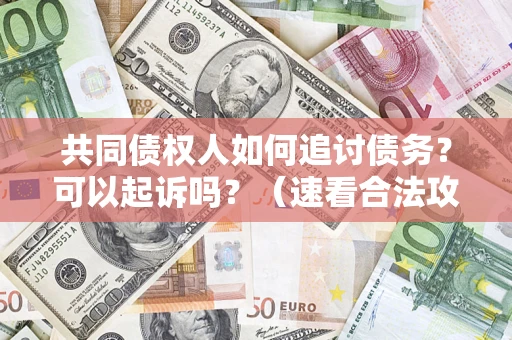 武汉共同债权人如何追讨债务？可以起诉吗？（速看合法攻略）