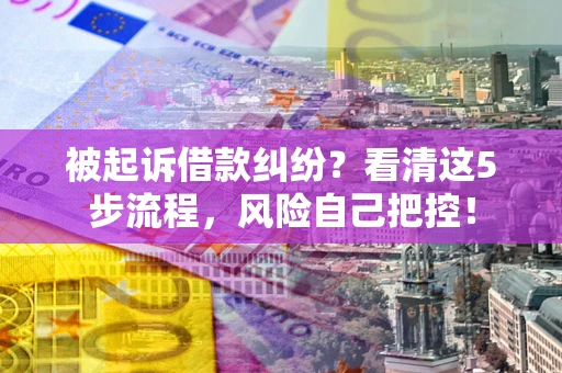 武汉被起诉借款纠纷？看清这5步流程，风险自己把控！