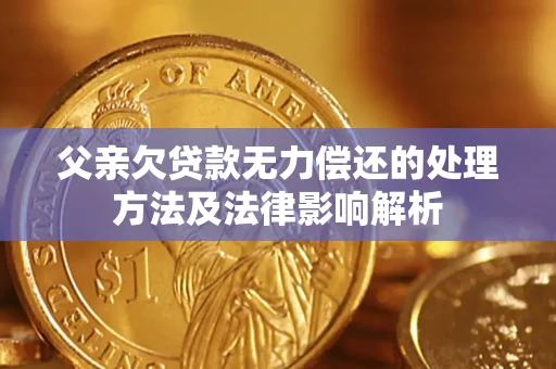武汉父亲欠贷款无力偿还的处理方法及法律影响解析